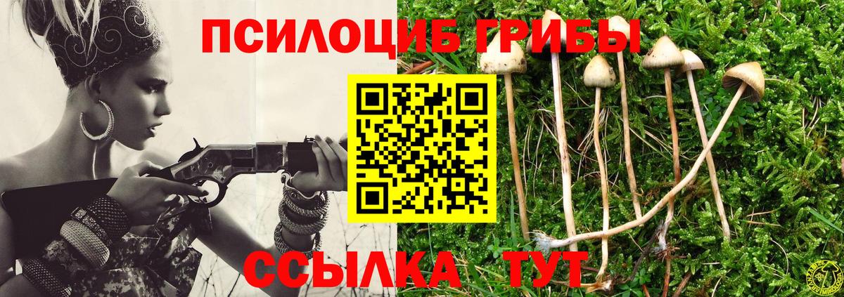 Галлюциногенные грибы Psilocybe Каменка