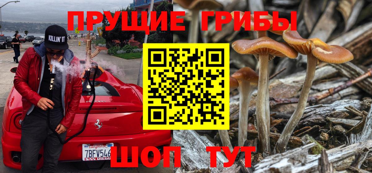 Псилоцибиновые грибы GOLDEN TEACHER  Вход с VPN  Псилоцибиновые грибы Psilocybe  как найти   Каменка 